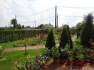 DSC00019