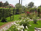DSC00021