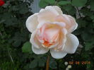 DSCN5955