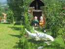 IMG_3797[1]