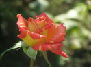 P7200077