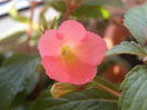 P8030132