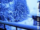 2013-01 Predeal  (17)