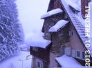 2013-01 Predeal  (18)