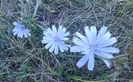 IMG_20140804_102526