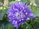 IMG_20140804_094600