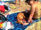 IMG_20130817_115838