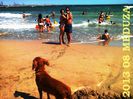IMG_20130817_120029
