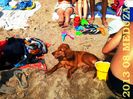 IMG_20130818_111449