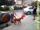 IMG_20130818_200426