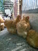 20140803_150945