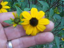 DSCN8509