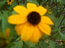 DSCN8508