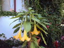 DSC01126