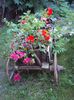 DSC01207