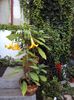 DSC01228