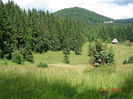 DSC00883
