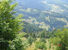 DSC00905
