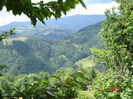 DSC00906