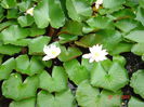 DSC00948