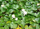 DSC00949