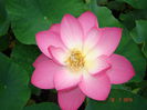 DSC00957