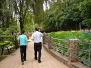 DSC00964