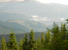 DSCN8531