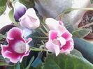 IMG_20140726_155806