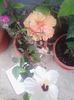 IMG_20140802_121719
