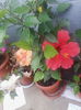 IMG_20140802_121733