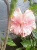 IMG_20140802_121754
