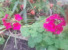 IMG_20140802_122524