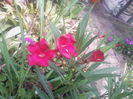 IMG_20140802_122529