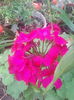 IMG_20140802_122547