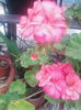IMG_20140802_122609