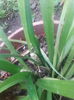 IMG_20140802_122735