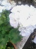 IMG_20140802_122839