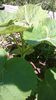 WP_20140803_017