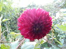 august 042