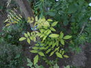 august 044