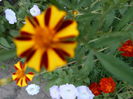 august 046