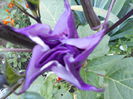 august 047