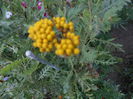 august 048