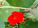 august 049