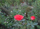 august 050