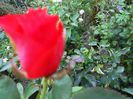 august 051