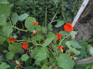 august 054