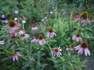 august 056