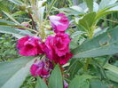 august 058